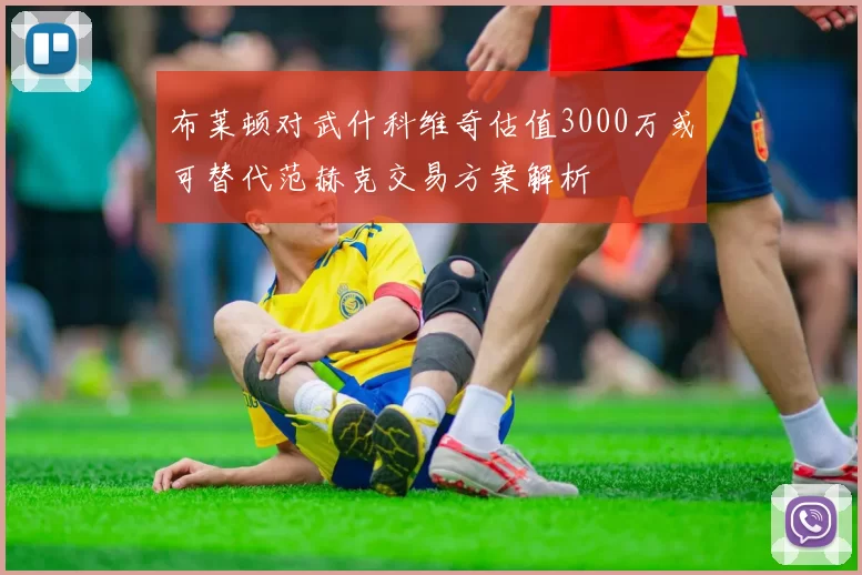 布莱顿对武什科维奇估值3000万或可替代范赫克交易方案解析